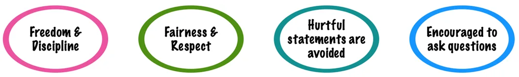 Key Features Of The Democratic Style