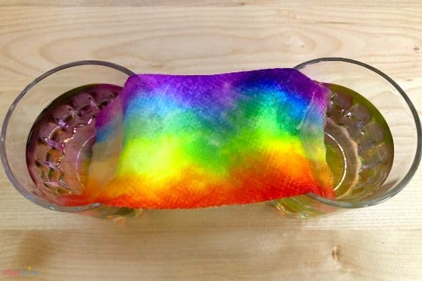 Easy Grow a Rainbow on Paper Towel
